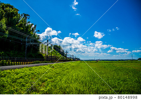 千葉県佐倉市　田園風景 80148998