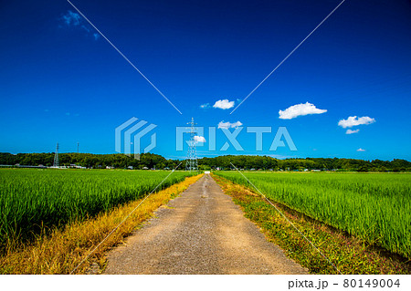 千葉県佐倉市　田園風景 80149004