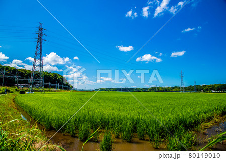 千葉県佐倉市　田園風景 80149010
