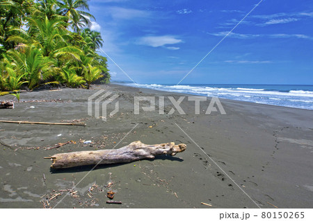 Beach, Corcovado National Park, Costa Rica, Central America Beach, Corcovado National Park, Costa Rica, Central America 80150265