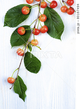 Yellow Sweet Cherries 80167494