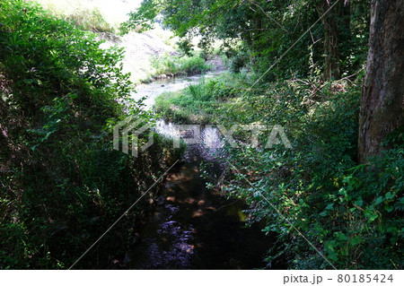 道保川 道保川 80185424