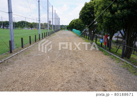 相模原麻溝公園 クロスカントリーコース 相模原麻溝公園 クロスカントリーコース 80188671