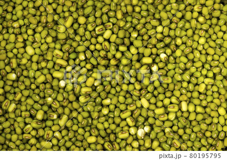 水に浸した緑豆 80195795