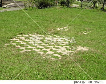 芝の補修事例の写真素材