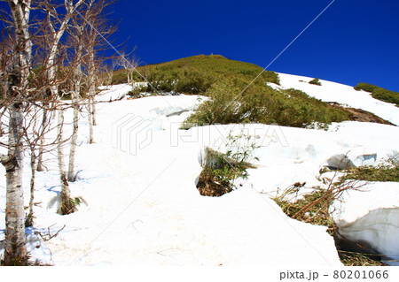 残雪期の昆布岳 残雪期の昆布岳 80201066