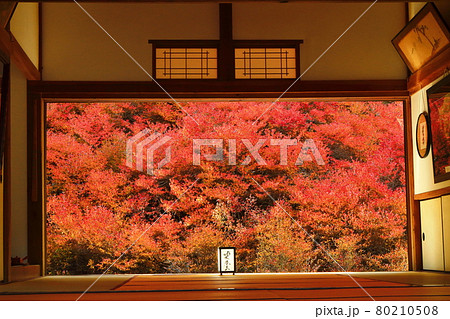 安國寺のドウダンツツジ 80210508