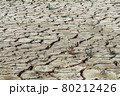 Dry lake with natural texture of cracked clay. 80212426
