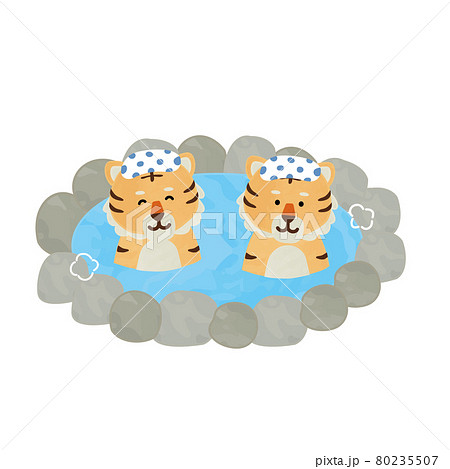 温泉に入るトラ 80235507