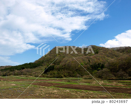 春の達居森　全容 80243697