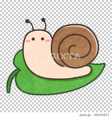 葉っぱに乗っているカタツムリ 80244871