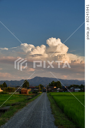 夏の夕方 田舎道と積雲の写真素材