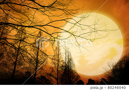 オレンジ色の怪しい不気味な空 オレンジ色の怪しい不気味な空 80246040
