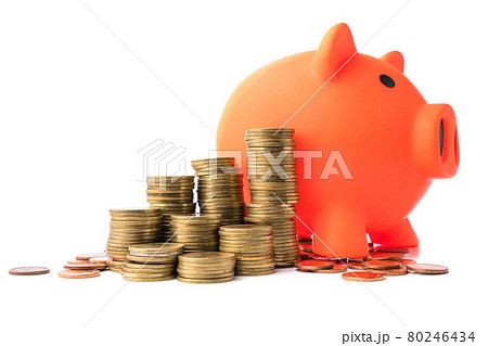 Stacking coins pile and white piggy bank for savings with money and planning step up to growing. Saving money and Grwoth business success concept Stacking coins pile and white piggy bank for savings with money and planning step up to growing. Saving money and Grwoth business success concept 80246434