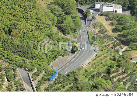 みかん畑を通る田舎の道 80246684