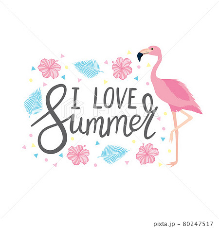 Hand lettered text "Summer". Calligraphic season inscription. Vector handwritten typography. 80247517