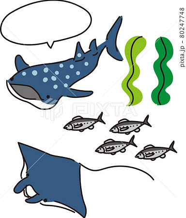 ジンベイザメとマンタとイワシのイラストのイラスト素材