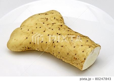 やまと芋 80247843