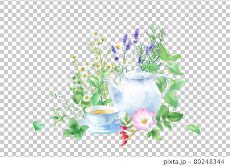 Watercolor illustration of herbal tea against the background of various herbs. (Camomile, mint rose hips, oregano, etc.) 80248344