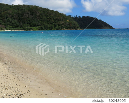 世界遺産 奄美大島の美しい倉崎海岸, 龍郷町, 大島郡, 鹿児島県, 日本 80248905