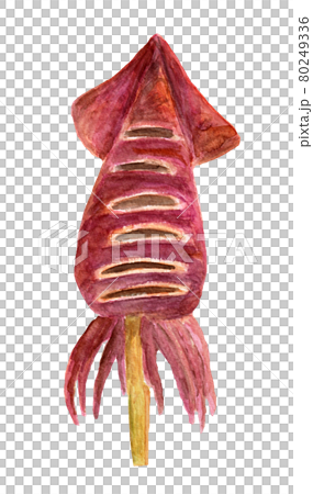 烤魷魚的水彩插圖 80249336