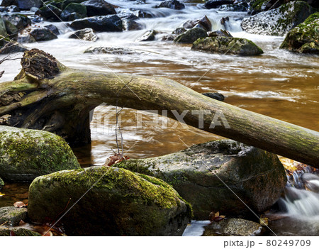 Bald tree trunk without bark lies on rounded stones over a deliberately defocused stream Bald tree trunk without bark lies on rounded stones over a deliberately defocused stream 80249709