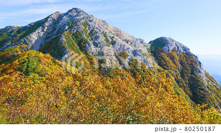 茅ヶ岳からの景色 80250187
