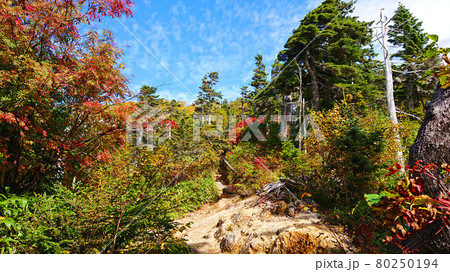 茅ヶ岳の紅葉 80250194