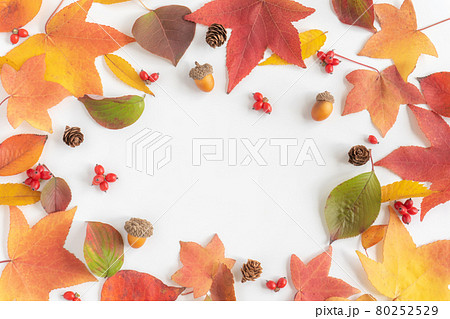 落ち葉と松ぼっくりと秋の実のフレーム 80252529