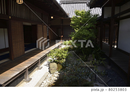 観智院 中庭 観智院 中庭 80253803