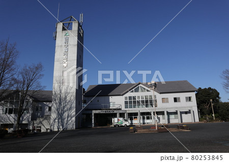 山村学園短期大学 80253845