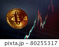 Bitcoin cryptocurrency coin on the background of the chart 80255317