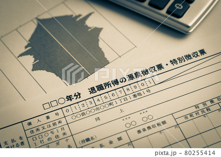 退職所得の源泉徴収票・特別徴収票 人口ピラミッド 少子高齢化 人口構成 超高齢社会 定年延長 退職所得の源泉徴収票・特別徴収票 人口ピラミッド 少子高齢化 人口構成 超高齢社会 定年延長 80255414