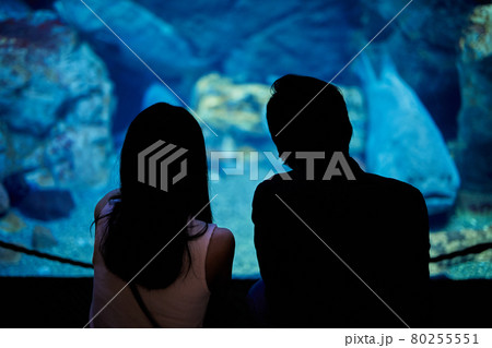 水族館デートで魚や生き物を観覧する若いカップル 水族館デートで魚や生き物を観覧する若いカップル 80255551