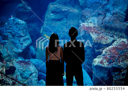 水族館デートで魚や生き物を観覧する若いカップル 80255554