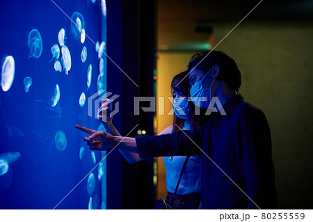 水族館デートをする若いカップル 80255559