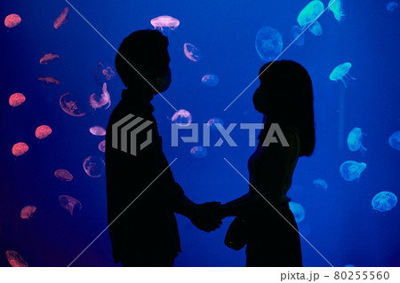 水族館デートで水槽を前に手を握り見つめ合う若いカップル 80255560