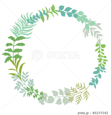 手書きタッチの様々な種類の草木 緑のハーブイラストリースフレームのイラスト素材