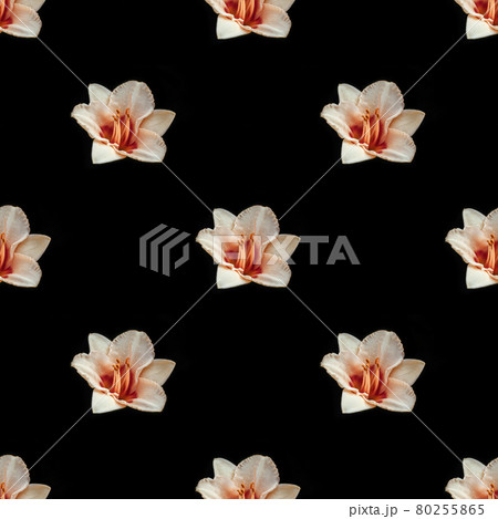 Seamless pattern with daylily flowers on black background. Floral pattern. Tropical abstract background Seamless pattern with daylily flowers on black background. Floral pattern. Tropical abstract background 80255865