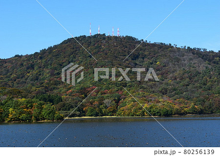 高館山 森林浴の森100選 80256139