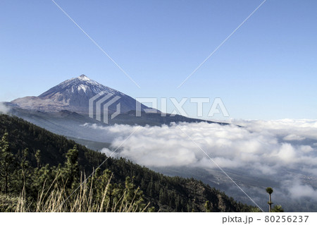 Teide volcano peak with snow in clear day with a white clouds in the foreground 80256237