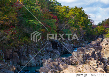 岩手一関の秋 朝日に照らされる紅葉の厳美渓 岩手一関の秋 朝日に照らされる紅葉の厳美渓 80256330