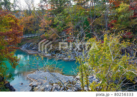 岩手一関の秋 朝日に照らされる紅葉の厳美渓 岩手一関の秋 朝日に照らされる紅葉の厳美渓 80256333