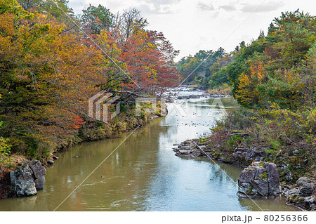 岩手一関の秋　朝日に照らされる紅葉の厳美渓 80256366