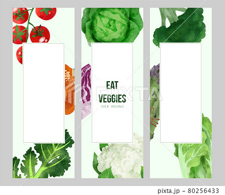 Summer veggies banner, hand drawn vector watercolor illustration Summer veggies banner, hand drawn vector watercolor illustration 80256433
