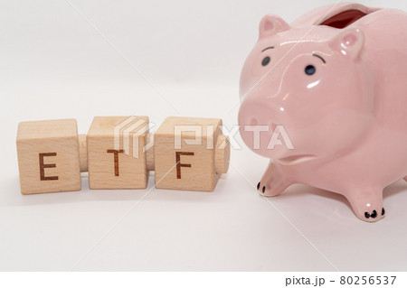 ETF 上場投資信託	 80256537