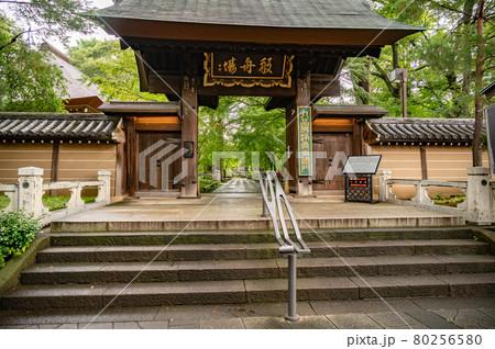 九品仏浄真寺 80256580