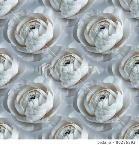Floral seamless pattern. Abstract floral background, ornament. Bright white flowers texture. Buttercup or Ranunculus pattern 80256592