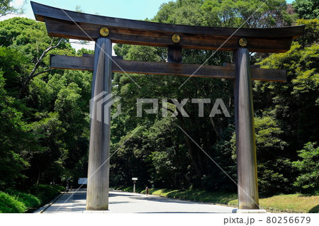明治神宮・大鳥居 80256679