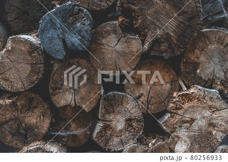 Deforestation. Fell tree. Wood texture or wood background. Grunge dark abstract wood background. Old brown natural wood texture 80256933